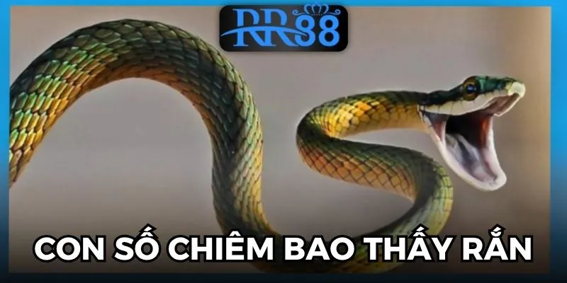 mơ thấy rắn là điềm gì